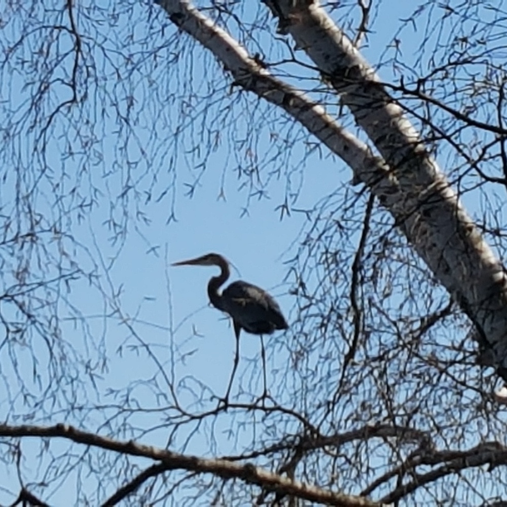 Meet your Posher, Sue